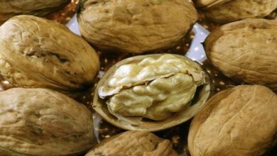 الجوز يخفف أعراض الإجهاد 10 63a03b544c59b718d8376963