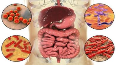 63a2c18c4c59b70d7a535f24