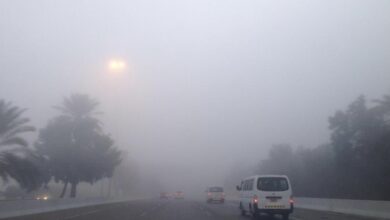 6DE54759 54E5 4929 AAAC C8DDD45FC949