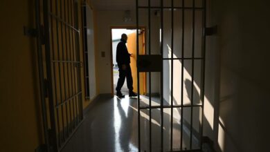 84EF4A47 3F4C 46D2 83A9 76D6EC576FEC