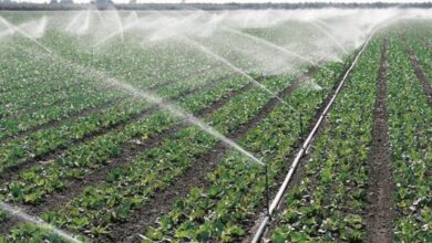 8B10A3C2 4361 47C4 A007 F7C12D8BDDB9