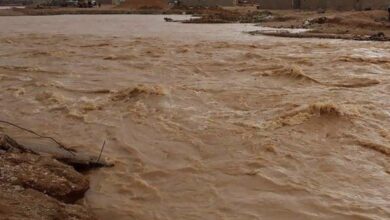 8DFBD9FD 7A05 401E A340 1255D84842FA