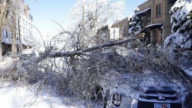 8EE59DFA 9DEC 4A55 A76C D21263C8BEF5