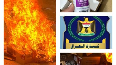 8F6F3754 9BB9 4894 B3E4 A83C0F9E126B