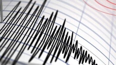 902657DA 8C78 48FA A3D1 7C28E826D78C