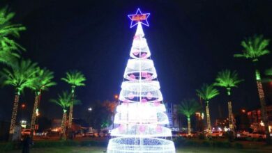 9DEAA3D4 61DD 4084 BCC5 8D6C1B766218