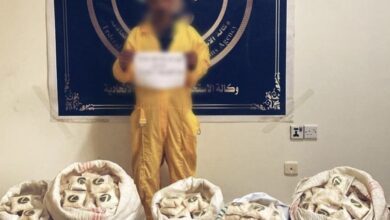 B4589E4A 57FF 4C8B 9636 6FB8BA750A55