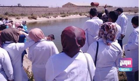 الزراعة تعلن إدراج قانون الطب البيطري بموازنة 2023 1 BC2D1487 A5FA 4004 8DBC 8B7DA8CAE31B