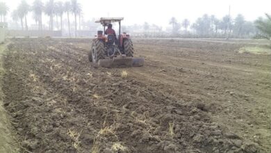 BEE0BFEE 0326 41CC A158 8218FD70A2A0