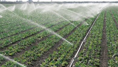 BFD1B6ED E024 4928 9F08 FEC5945D5D36