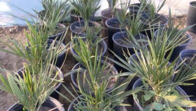 CD270895 D1EC 4571 B41C 913675518554