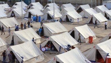 D2E61372 D68C 451C 81A6 974EBF5DB9DF