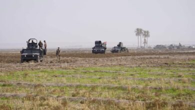 D431DC44 2799 4E9D 8463 47A2DD6B3B3E