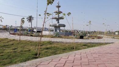 D6124A6E FA3F 4DB6 B959 D6B48425B21E