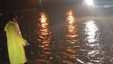 D743F142 8786 4182 9C1B 13179986C573