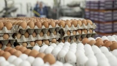 D990A3FB D70C 4B2B 84C7 12AADC5B650E