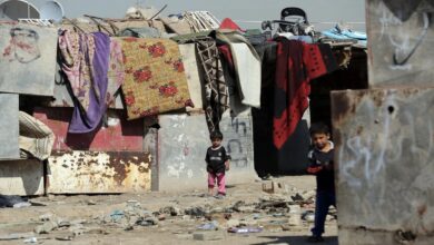 E0483E76 9DC7 4DE4 B92A BC47F7E9252A