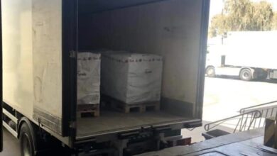 E31C66C8 D904 4C04 8465 15A6FF8699A3