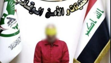 E82B0A81 80D8 4C19 8E6F 5485CB413F83