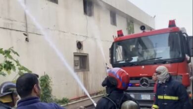 EFF6F2AD 44DD 46B7 9708 F802C0BF95E7