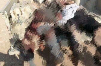 F147D8F9 2346 43D5 B334 3D41922FF3BE