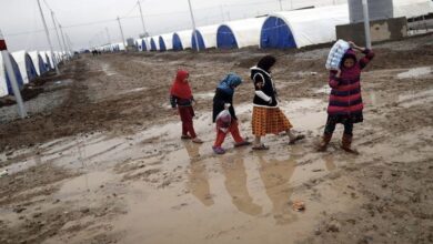 F65E720D 8C59 409F 91AB A0733E5F72C6