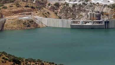 F70B8D90 7CD7 47DD 8370 18D6C5978514