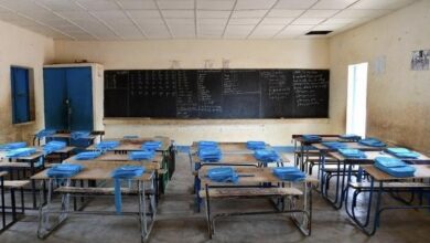 FE74B7B3 C25A 40E1 BE0C A7FCF8C7C614