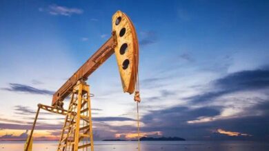 IMG 20221202 092409 418