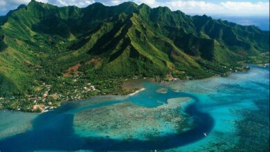 IMG 20221205 083726 781