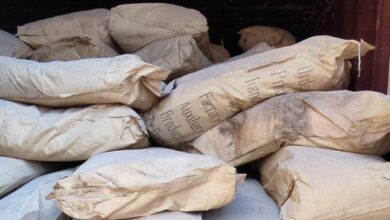 IMG 20221221 152546 137