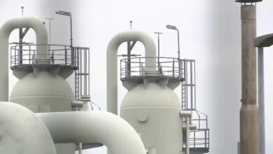 IMG ٢٠٢٢١٢٠٣ ٠٨٤٩٤٩