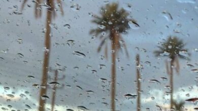 IMG ٢٠٢٢١٢٢٣ ١٠١٤٠٣