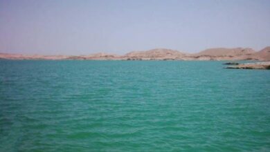 IMG ٢٠٢٢١٢٢٤ ١١٢٣٤١