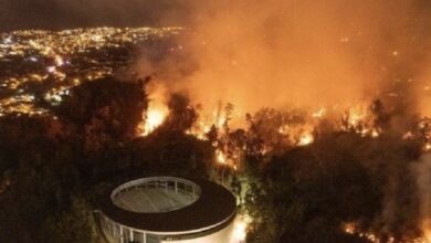 IMG ٢٠٢٢١٢٢٤ ١٢١٠٢٠