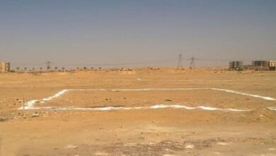 IMG ٢٠٢٢١٢٢٥ ١١٢٥٤١