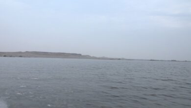 IMG ٢٠٢٢١٢٢٨ ١٤٥٦١٣