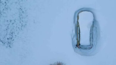 IMG ٢٠٢٢١٢٢٩ ٠٧٤٠٣٠