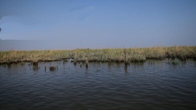 IMG ٢٠٢٢١٢٣١ ١١٣١٠٨