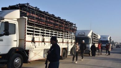 02933825 A787 4CCD 9C04 3D7283085886