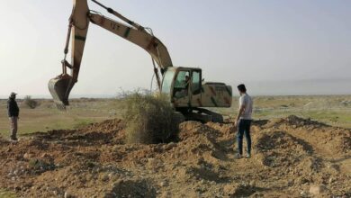 03FF431E 335A 4AB3 9C56 36898C2338C1