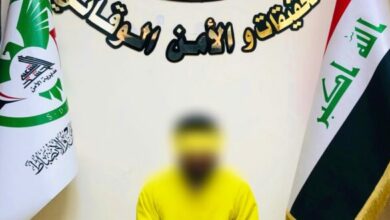 08C61BD9 EF96 47EC B4F1 6AC63F9365D7