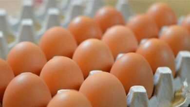 0AAC0FB6 D7F9 4EB6 8FE5 3F7AF97D2F88