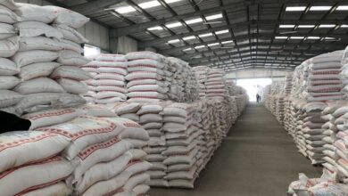 وزير التجارة يعلن المباشرة ببيع الطحين بسعر مدعوم 4 1372902B 2627 41BE 8F55 AD1786C6E030