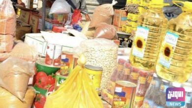 167395742829E53697 DD6D 4738 94E2 928B9011E3FA 1