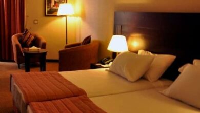 274420338 2594564967355109 5308144379228779088 n