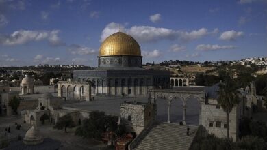 292B0DC1 5786 4D9A 9F80 B01035B533B8