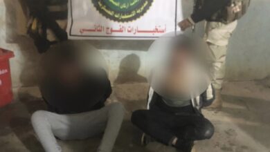 40338851 17F4 4F61 B954 A5016D2F7681