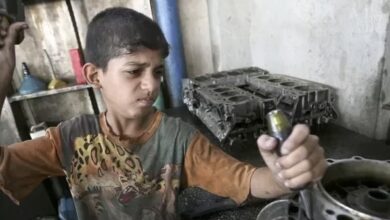 42525131 5EEA 4AB7 BD27 D8103CBFDACB