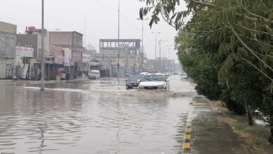 4D9EDDBD 9AEF 4B1D B62C 5C6ECC2CC449